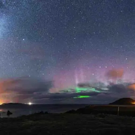 Apartment The Rusty Nail