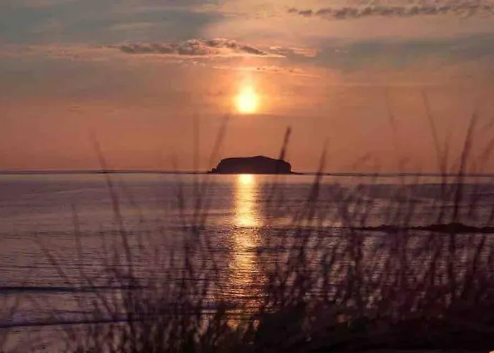 The Rusty Nail Kindrohid